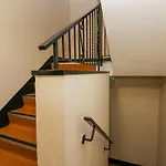 Meadow Rue Windermere