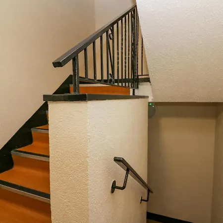 Meadow Rue Windermere